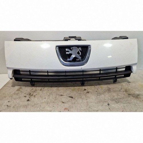 Peugeot expert 2007 grille - expert,