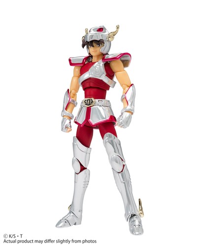 Saint seiya - saint, cloth