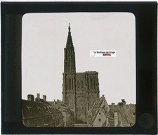 Cathédrale de Strasbourg, photo plaque verre, noir & blanc, positif 8,5x10 cm