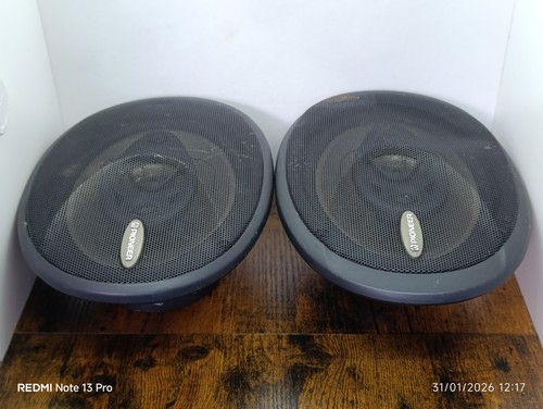 Pioneer a6976 vintage - ts-a6976, hauts