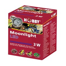 Hobby Moonlight LED Lune