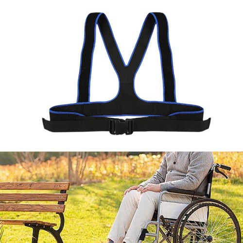 Ceinture sécurité pour - ceinture,