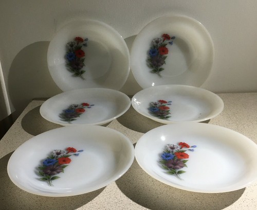 Arcopal vintage assiettes - vintage, 6