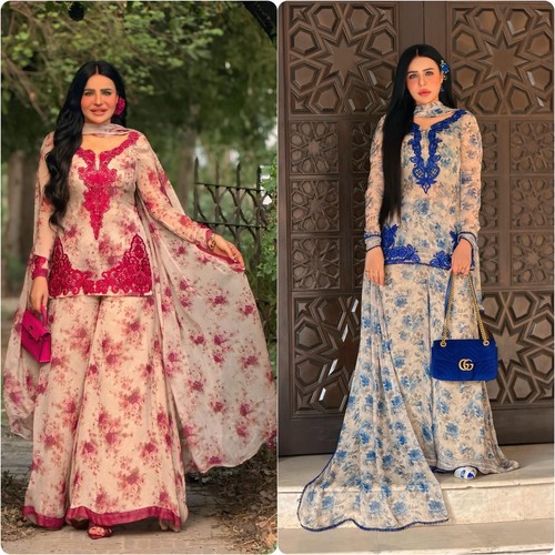 Costume indien punjabi palazzo