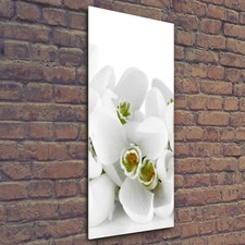 Tulup Tableau Sur Verre