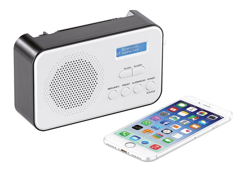 Radio mobile numérique