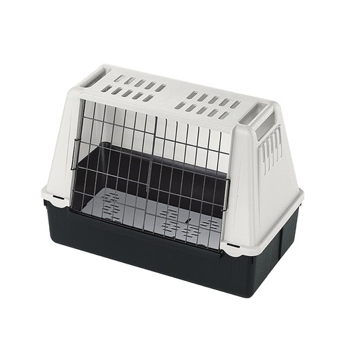 Transport chiens pour voiture - pour,