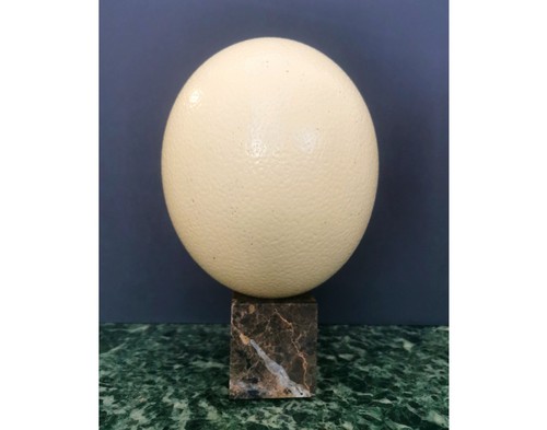 Ostrich egg brown - marble, stand