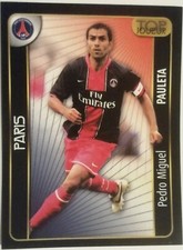 PANINI - FRANCE FOOT 2008 -