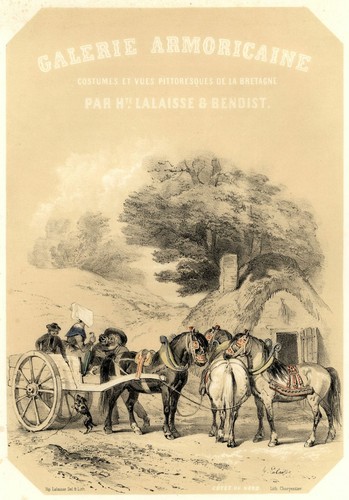 Galerie armoricaine chevaux - galerie,
