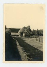 PHOTO Photographie, prairie habitation hutte traditionnelle en chaume