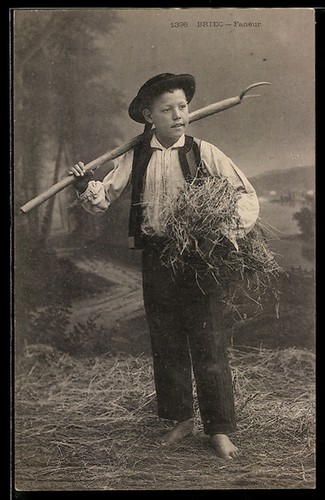 Cpa briec faneur - faneur,,