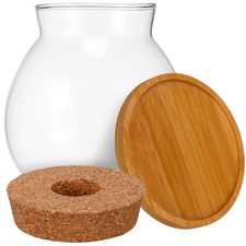  Aquarium Pour Poissons Betta