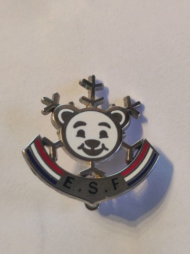 Insigne broche médaille ski - insigne,