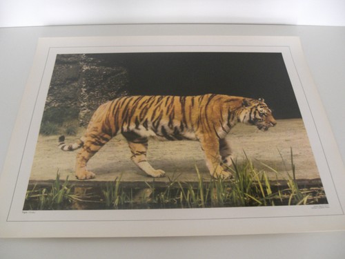 Ancienne planche affiche - ancienne,