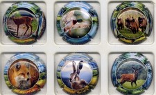Générique chasse 2025  nouvelle série de 6 capsules (g33)