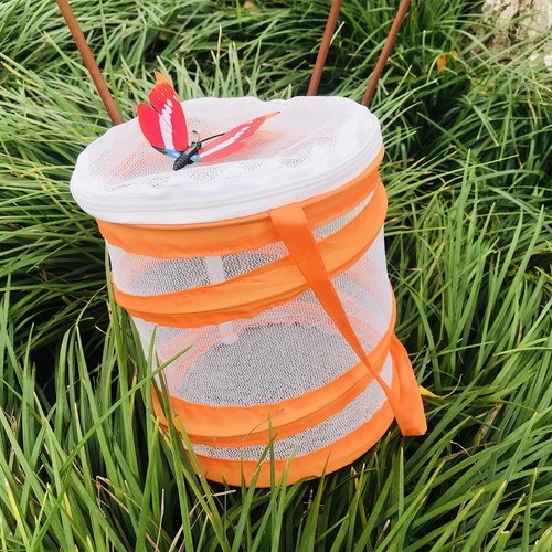 Cage insectes pour enfants - pour,