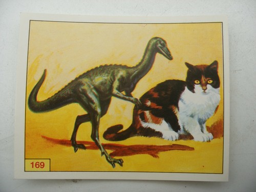 Stikers album panini - album,