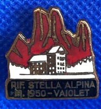 VINTAGE VINTAGE Insigne BROCHE Médaille BLASON RIF.STELLA ALPINA m.1950-VAIOLET 