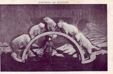 CPA PC PARIS CIRCUS - SOUVENIR