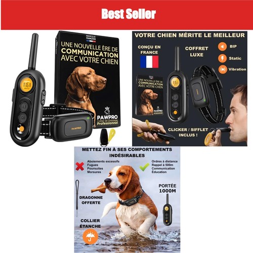 Collier dressage chien - , pawpro