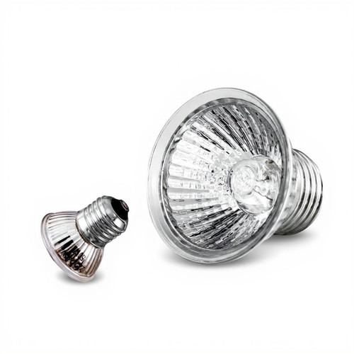 Lampe chauffante reptiles