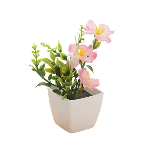 Pour mini plante pot de - plante, en