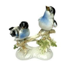 Couple des oiseaux en