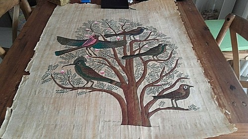 Veritable papyrus oiseaux ibis - papyrus,