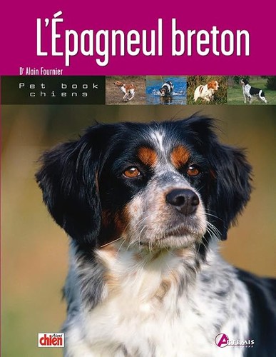 épagneul breton - l', (0)