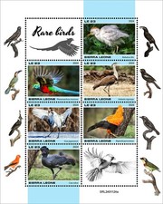 2025 05 - SIERRA LEONE - RARE BIRDS          6V  complet set    MNH **