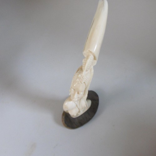 Dent phacochere femme - dent,