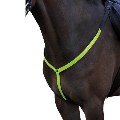 Horse guard reflex - reflex, harnais