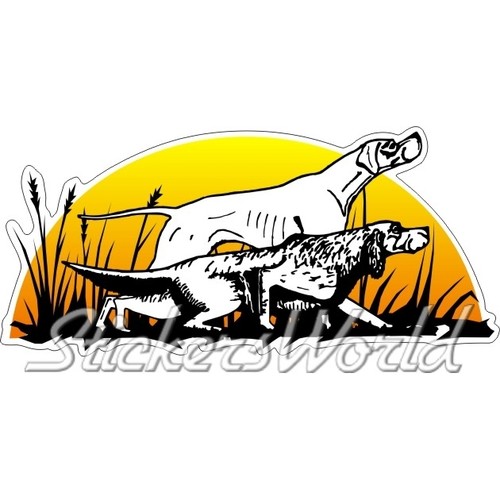 Chiens chasse harriers - chiens,