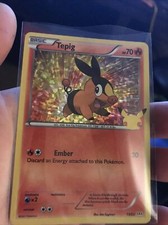 Pokemon Tepig 13/25 HOLO 25th