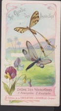 CHROMO ANCIEN CHOCOLAT D'AIGUEBELLE LE MONDE DES INSECTES/NEVROPTERE/HEMEROBUDE