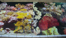 poster fond aquarium