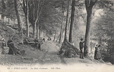 29 PONT-AVEN BOIS D'AMOUR ANIME - 4741