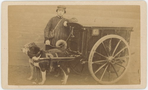 Cdv circa 1870 charrette à - cdv,