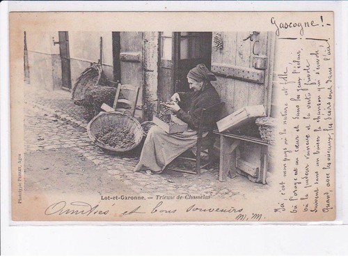 Lot garonne trieuse de - lot,