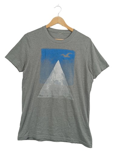 Hollister shirt homme - hollister,