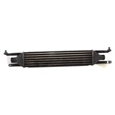 Scambiatore aria (Intercooler) FIAT PUNTO EVO 3 55702237