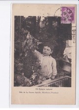 MONTFAVERT: essaim naturel, la