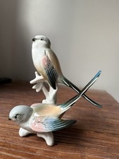 Couple oiseaux en - ,