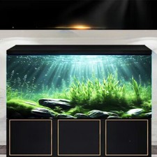 Aquarium Plante Aquatique