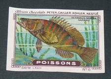 CHROMO PETER CAILLER KOHLER