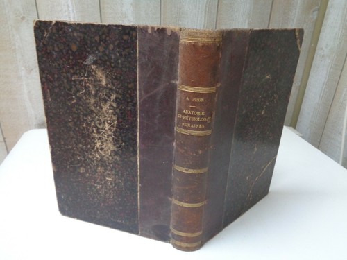 Zoologie antoine pizon - zoologie, /