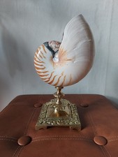 Grand Nautilus sur socle en