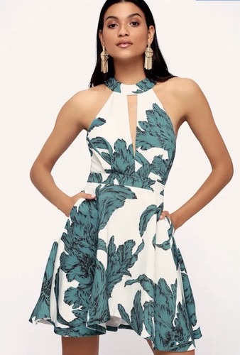 Meo collective lulus - c/meo,