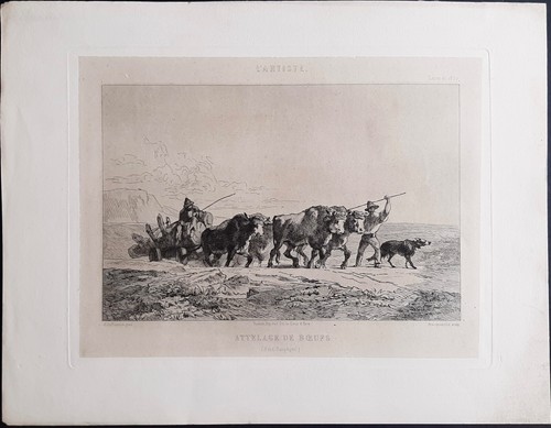 Attelage boeufs - de,